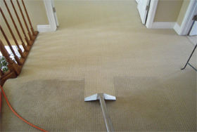 Showing the difference between the freshly cleaned carpet and the uncleaned part